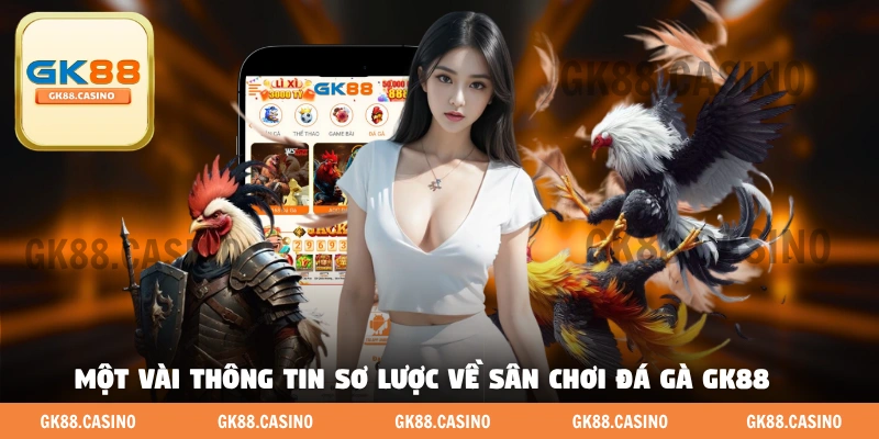Một vài thông tin sơ lược về sân chơi đá gà GK88 